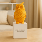 Wise Owl Guardian of Good Fortune - Symbol of Fortune & Protection for Indian Homes
