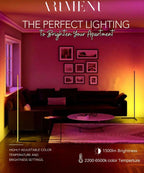 Modern Art Zenith Corner Floor Lamp