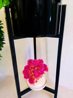Sleek Black Circle Plant Pedestal